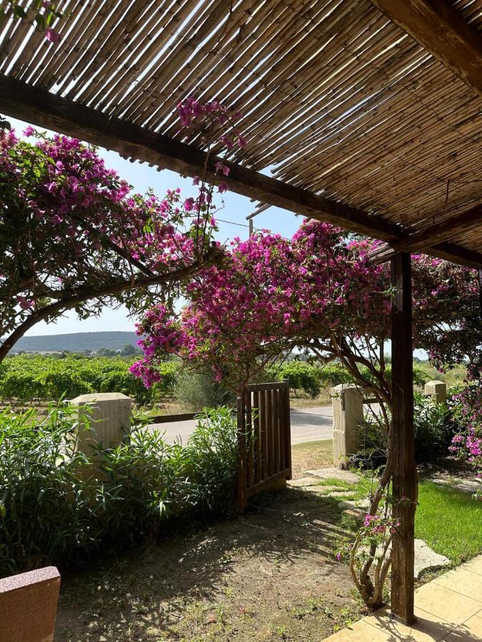 Villa Juniperus Porto Pino SantʼAnna Arresi Dış mekan fotoğraf