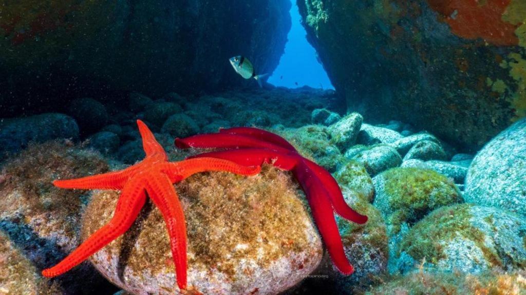 Villa Juniperus Porto Pino SantʼAnna Arresi Dış mekan fotoğraf