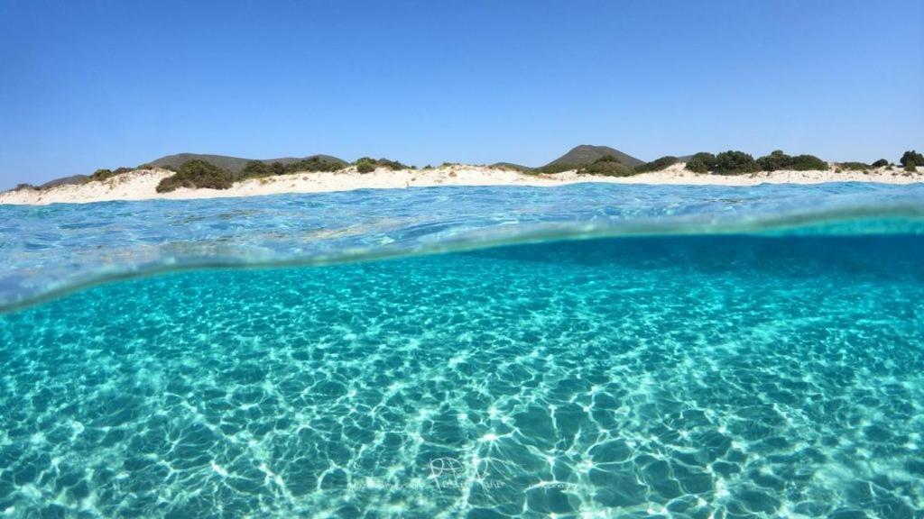 Villa Juniperus Porto Pino SantʼAnna Arresi Dış mekan fotoğraf